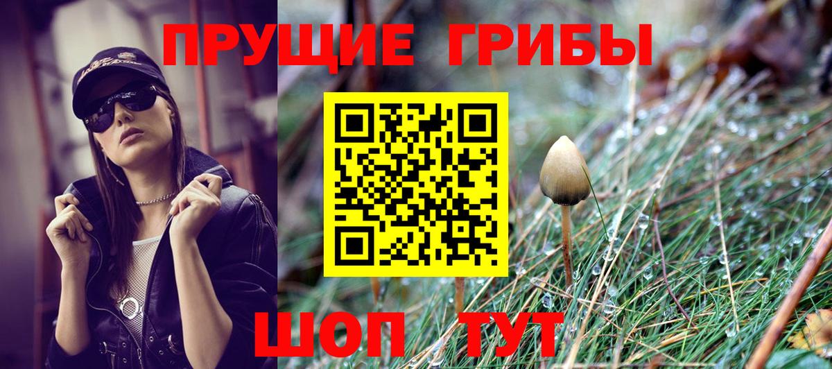 Галлюциногенные грибы Cubensis Новотроицк