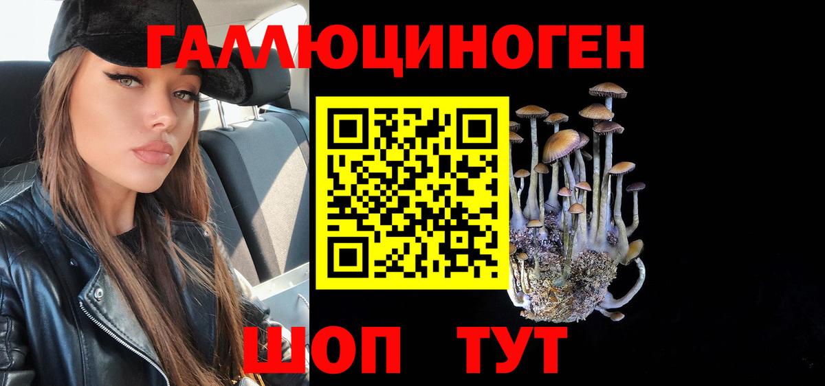 Новотроицк  Галлюциногенные грибы Psilocybe  Вход с VPN 